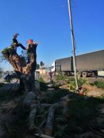 Ross Tree Felling Pietermaritzburg image 8